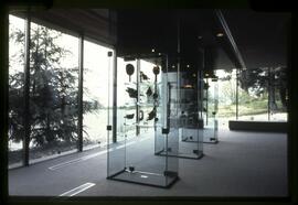 Display in Gallery 3