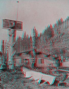 3D stereographic view