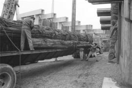 Preparing to remove canoe log