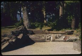 Totem poles on ground, Stanley Park, Vancouver, B.C.