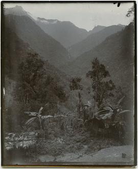Traditional houses in the mountains of New Guinea