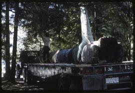 A totem pole lying on a truck trailer