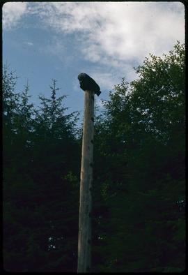 Kats wife pole, Totem Bite [Bight], Ketchikan, Alaska