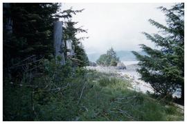 Ninstints 1957 [shoreline seen from forest]