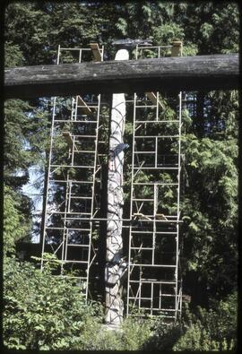 Scaffolding surrounds a totem pole