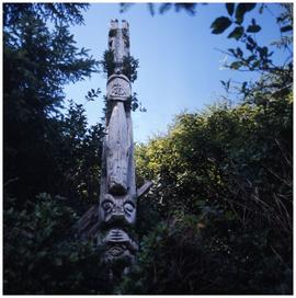 The only standing totem left at Uchucklesaht, Vancouver Island