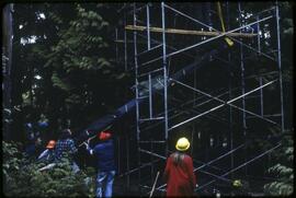Totem pole being lowered in Totem Park