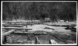 View of a cleared area, possibly a logging camp