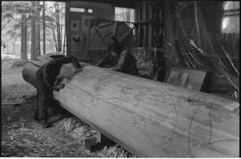 Crew and log at the old UBC carving shed