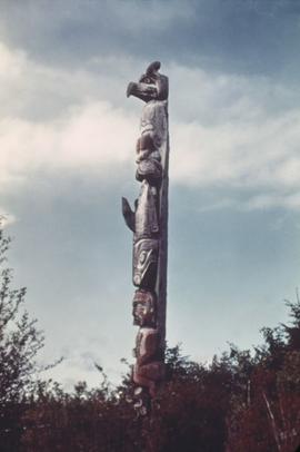 Unidentified totem pole