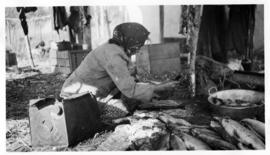 Oweekeno women preparing fish