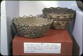 Puget Sound raffia