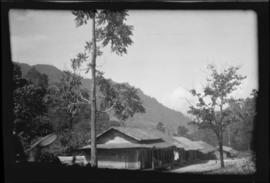 Landscape with houses