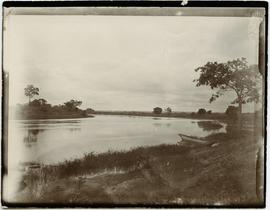 Congo near Kibombo, just outside the forest