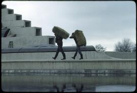 Workers carrying hay at the Museum of Anthropology