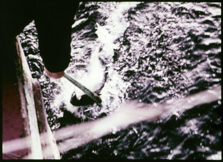 Original digitaal object not accessible