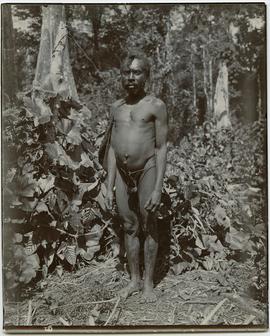 Local man New Guinea