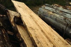 Cedar wood planks