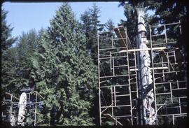 Scaffolding surrounds two totem poles