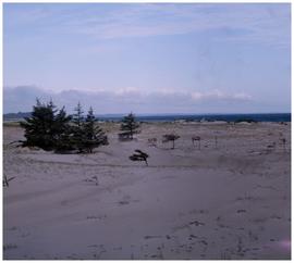 People (Haida): wide beach