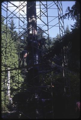 A scaffolding surrounds a totem pole