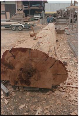 Rounding the log