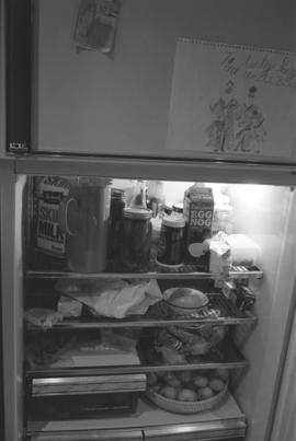 [Refrigerator contents]