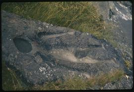 "Man who fell through a hole in the sky", petroglyph on mainland near Prince Rupert, B.C.