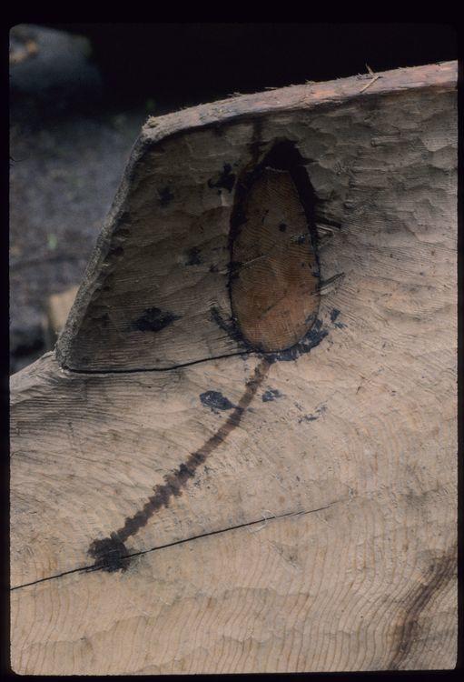 Original digital objects not accessible