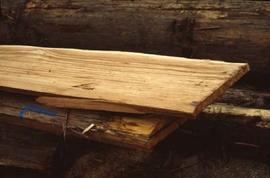 Cedar wood planks