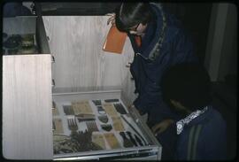 Children viewing a display drawer