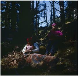 Spruce roots, Slate Chuck Camp, Q.C.I.