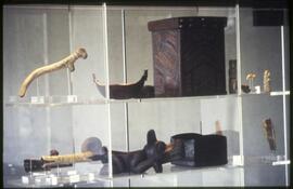 Items on display in the Museum of Anthropology