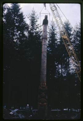 Memorial pole being raised in the Haida Village