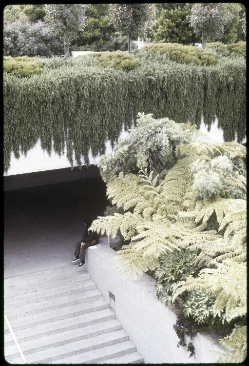 Original digitaal object not accessible