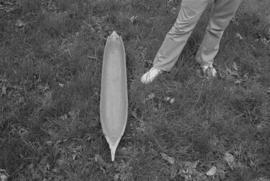 [Unidentified person standing near model canoe for scale]