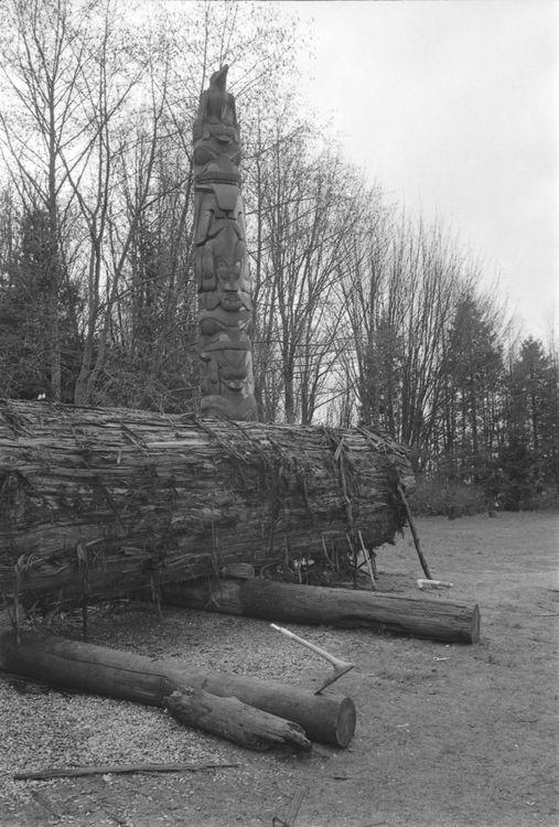 Original digital objects not accessible