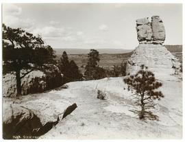 View from Top of El Morro, N.M.