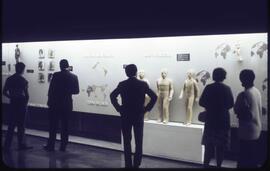 Display in the National Museum of Anthropology in Mexico