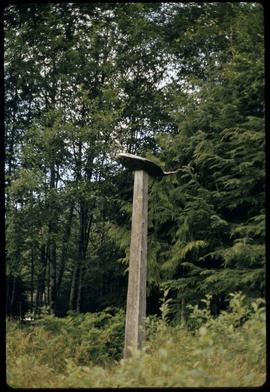 Halibut pole, Totem Bite [Bight], Ketchikan, Alaska