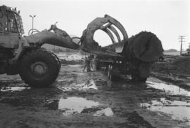 [Securing the log for transport]