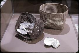 Shells in baskets on display in Montréal