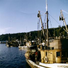 Kamtchatka and other docked fishing boats