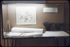 Chinese calligraphy