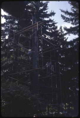 Staff wrapping a totem pole in padding