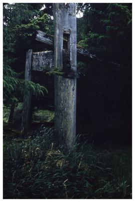 Ninstints 1957 [village remains]