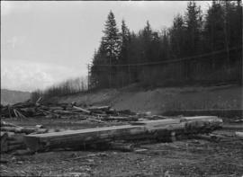 Norman Tait's first view of log at the L&K Log-sorting yard in Gibson’s Landing, B.C.