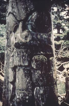 Beaver pole, Anthony Island