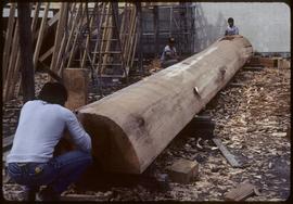 Rounding the log