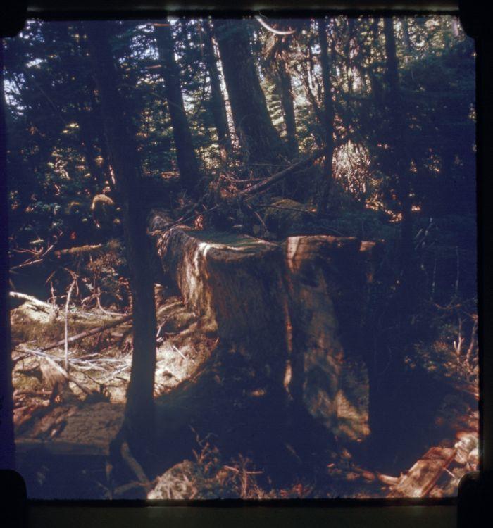 Original digital objects not accessible